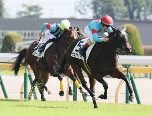 フランス産馬ジルファノーガが断然人気に応える「乗りやすく、瞬発力ある」ルメール騎手/新馬戦