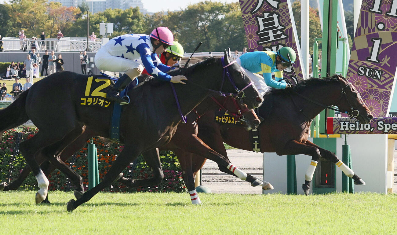 東京9R、アイビーSを制したキャピタルストーンと大野拓弥騎手（奥）。手前は2着コラリオン（撮影・丹羽敏通）