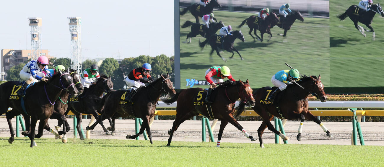 東京9R、アイビーSを制したキャピタルストーンと大野拓弥騎手（右端）。左端は2着コラリオン（撮影・丹羽敏通）