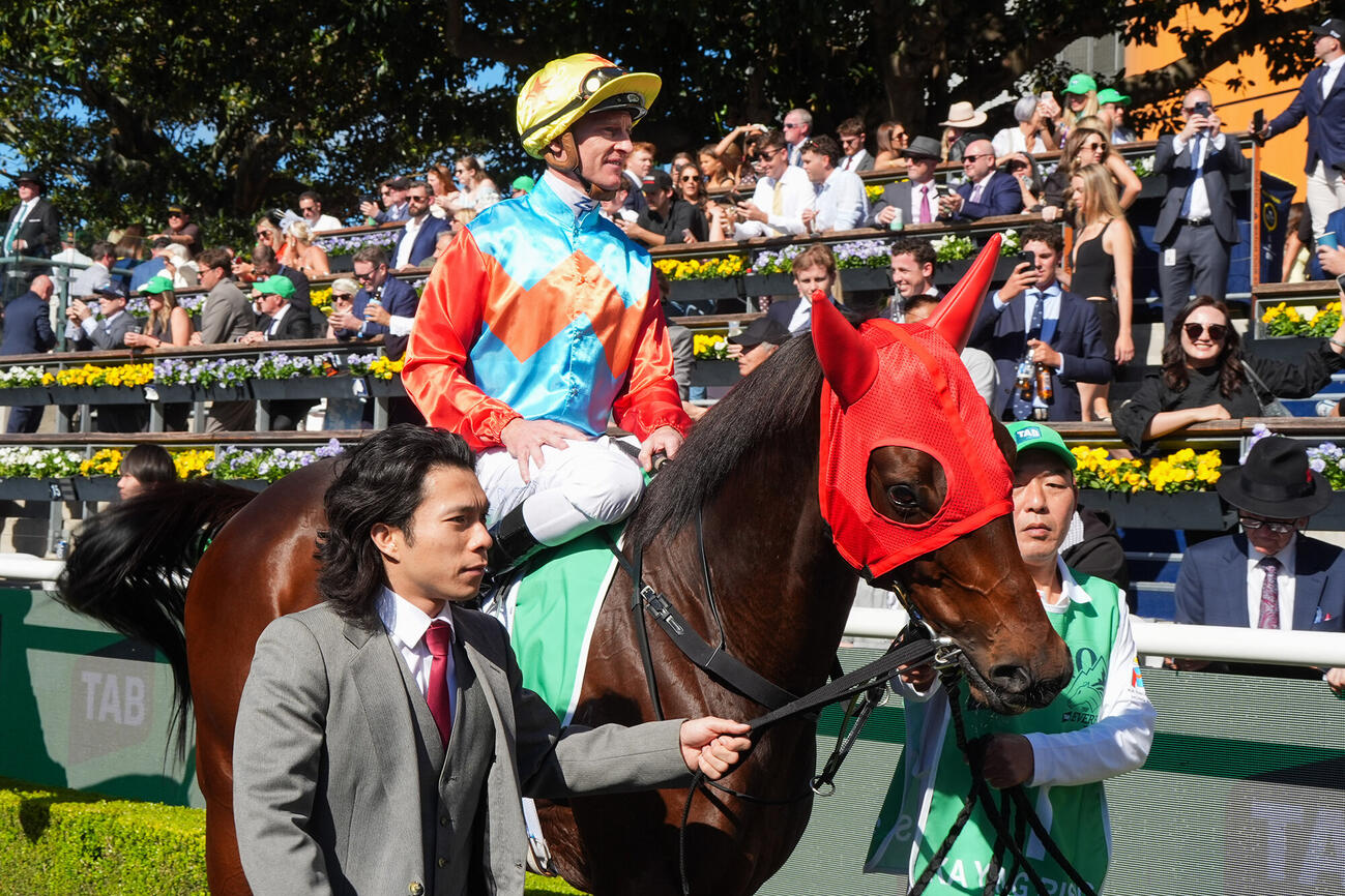 ジ・エベレストのパドックを歩くカーインライジング（（C）The Hong Kong Jockey Club）