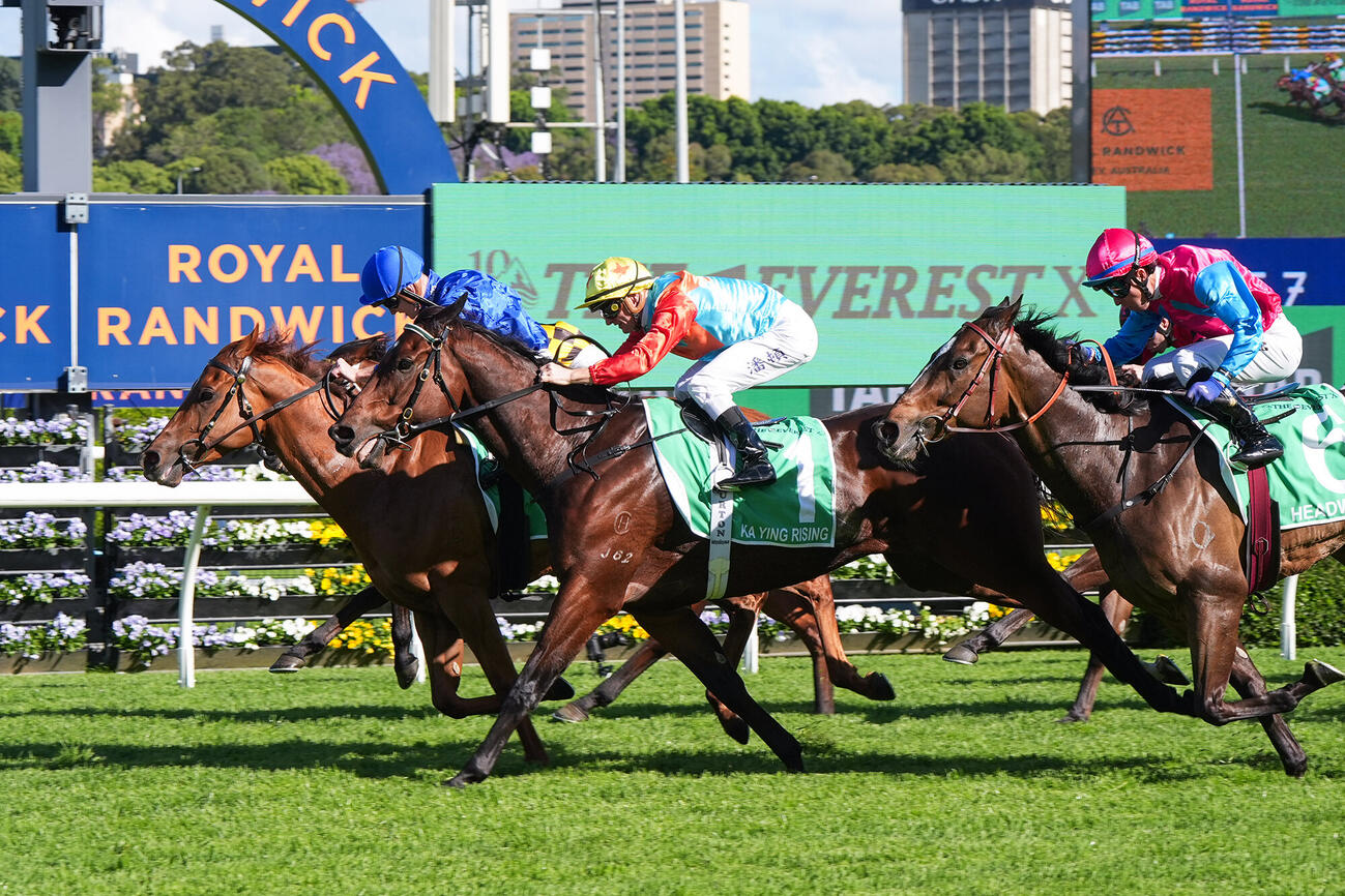 ジ・エベレストで2着に敗れたカーインライジング（（C）The Hong Kong Jockey Club）