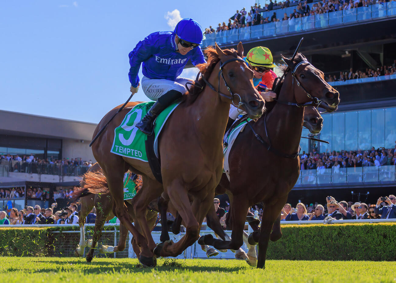 ジ・エベレストで2着に敗れたカーインライジング（（C）The Hong Kong Jockey Club）