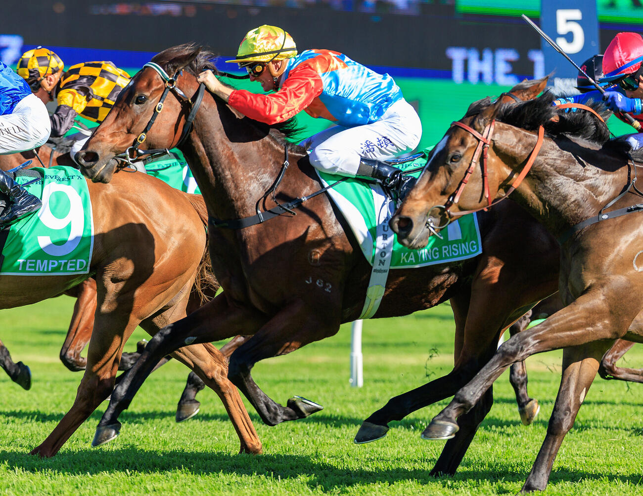 ジ・エベレストで2着に敗れたカーインライジング（（C）The Hong Kong Jockey Club）