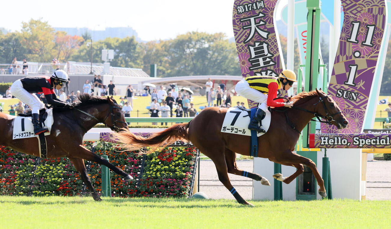東京6R、2歳1勝クラスを制したボーデコールと津村明秀騎手（撮影・丹羽敏通）