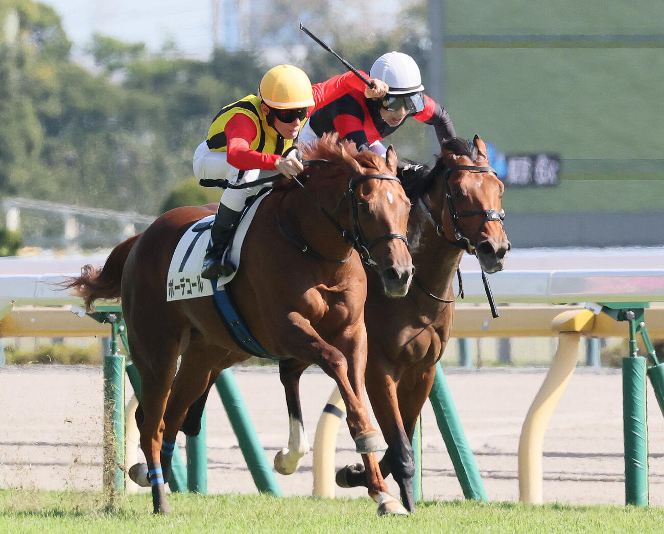 東京6R、2歳1勝クラスを制したボーデコールと津村明秀騎手（左）（撮影・丹羽敏通）
