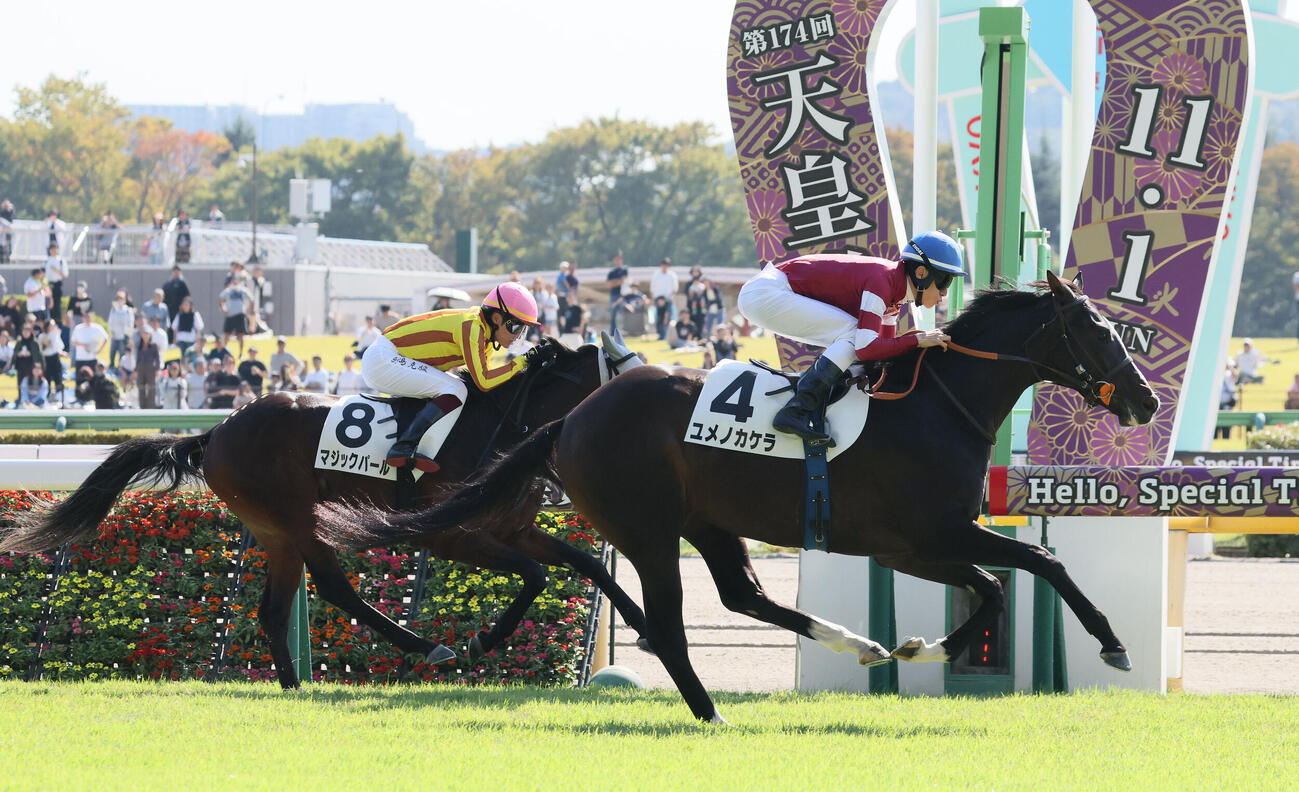 東京5R、2歳新馬戦を制したユメノカケラと津村明秀騎手（撮影・丹羽敏通）