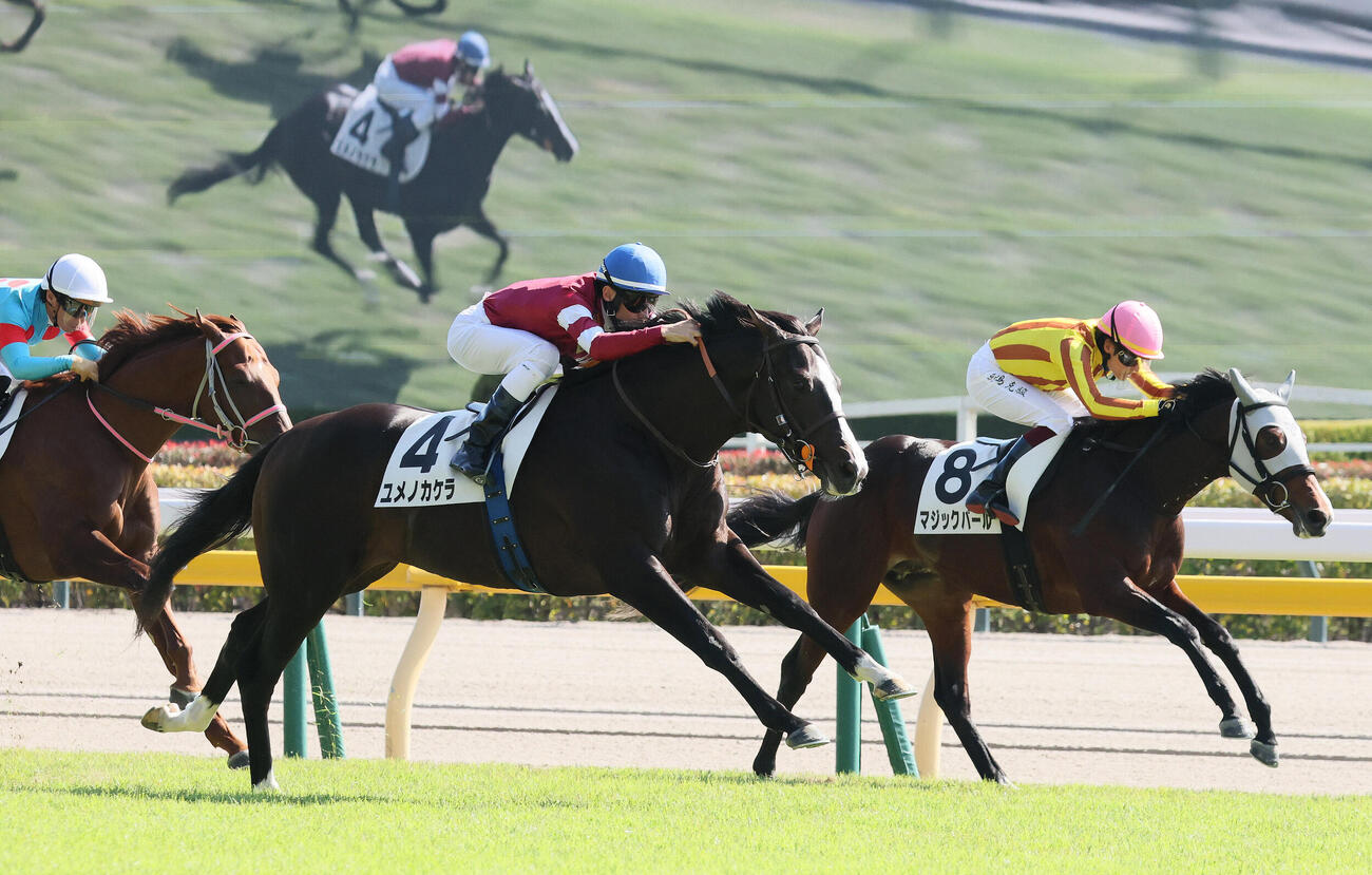 東京5R、2歳新馬戦を制したユメノカケラと津村明秀騎手（手前）（撮影・丹羽敏通）