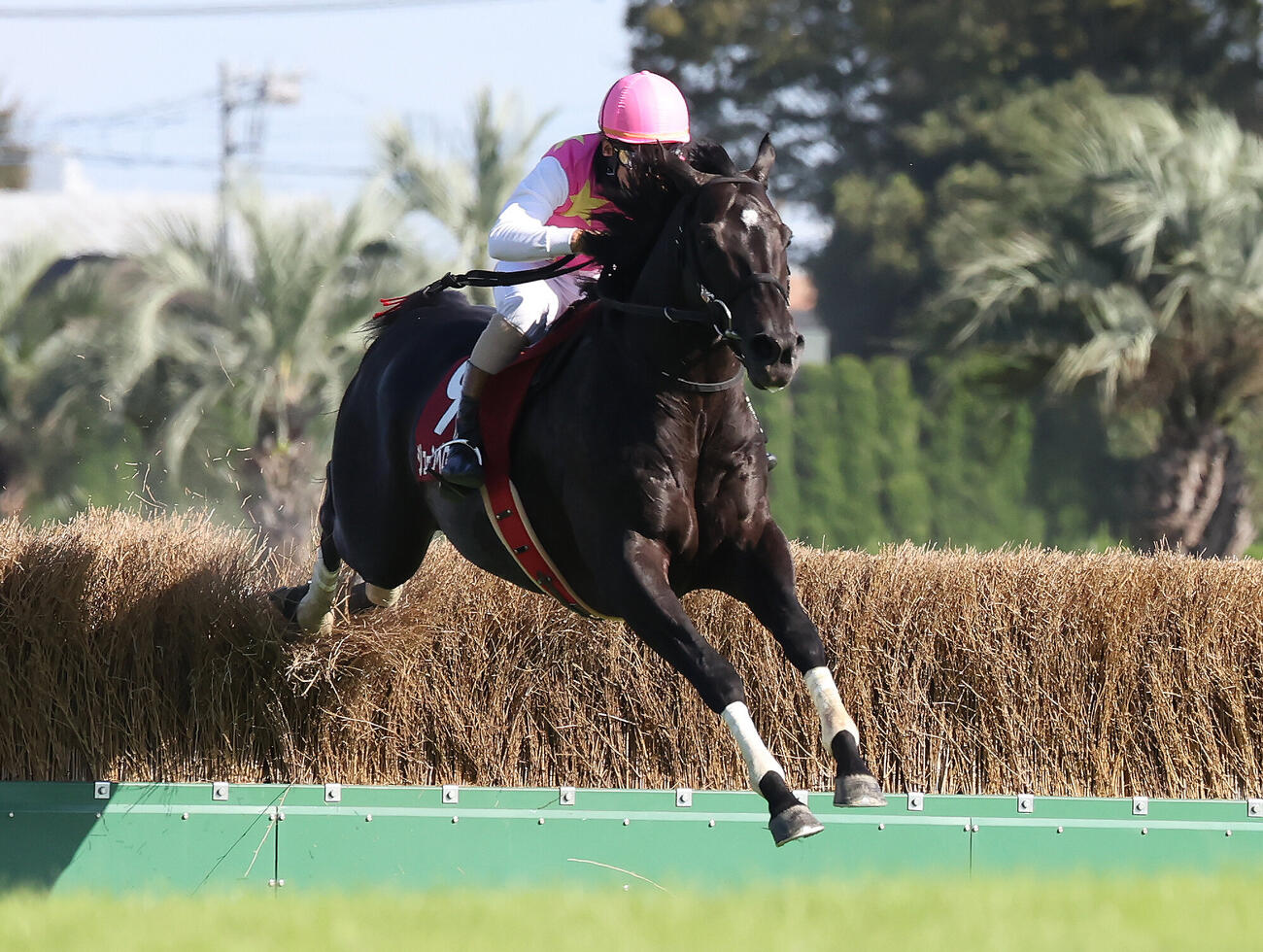 東京9R、東京HJを逃げ切ったジューンベロシティと高田潤騎手（撮影・丹羽敏通）