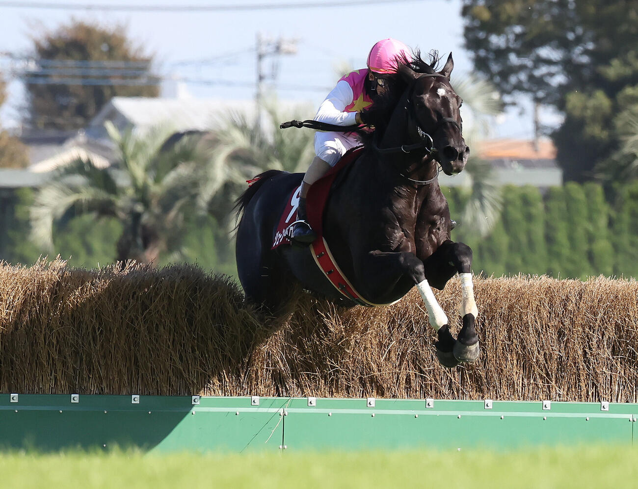 東京9R、東京HJを逃げ切ったジューンベロシティと高田潤騎手（撮影・丹羽敏通）