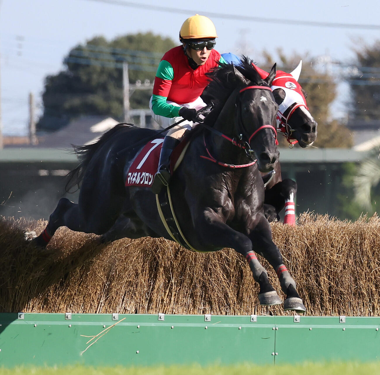 東京HJ2着に入ったマイネルグロンと五十嵐雄祐騎手（撮影・丹羽敏通）