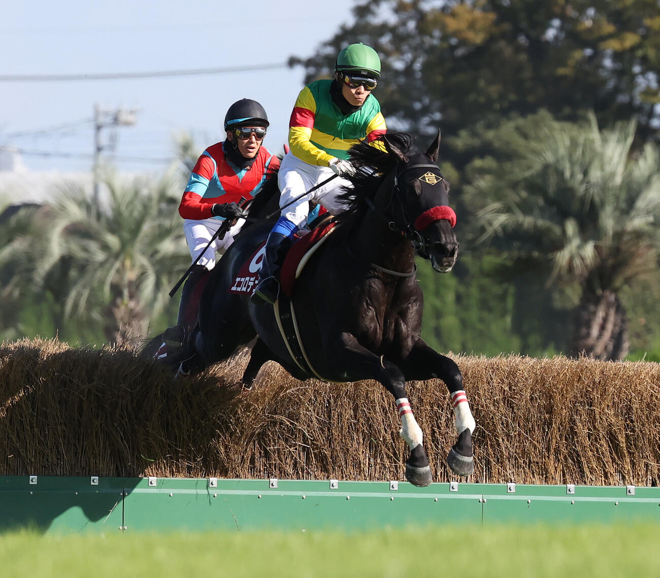 東京9R、東京HJで3着になったエコロデュエルと草野太郎騎手（撮影・丹羽敏通）