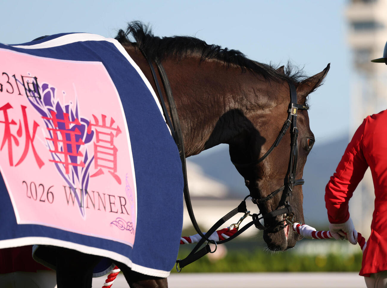 無傷の5連勝で秋華賞を制したモンローウォーク（撮影・白石智彦）
