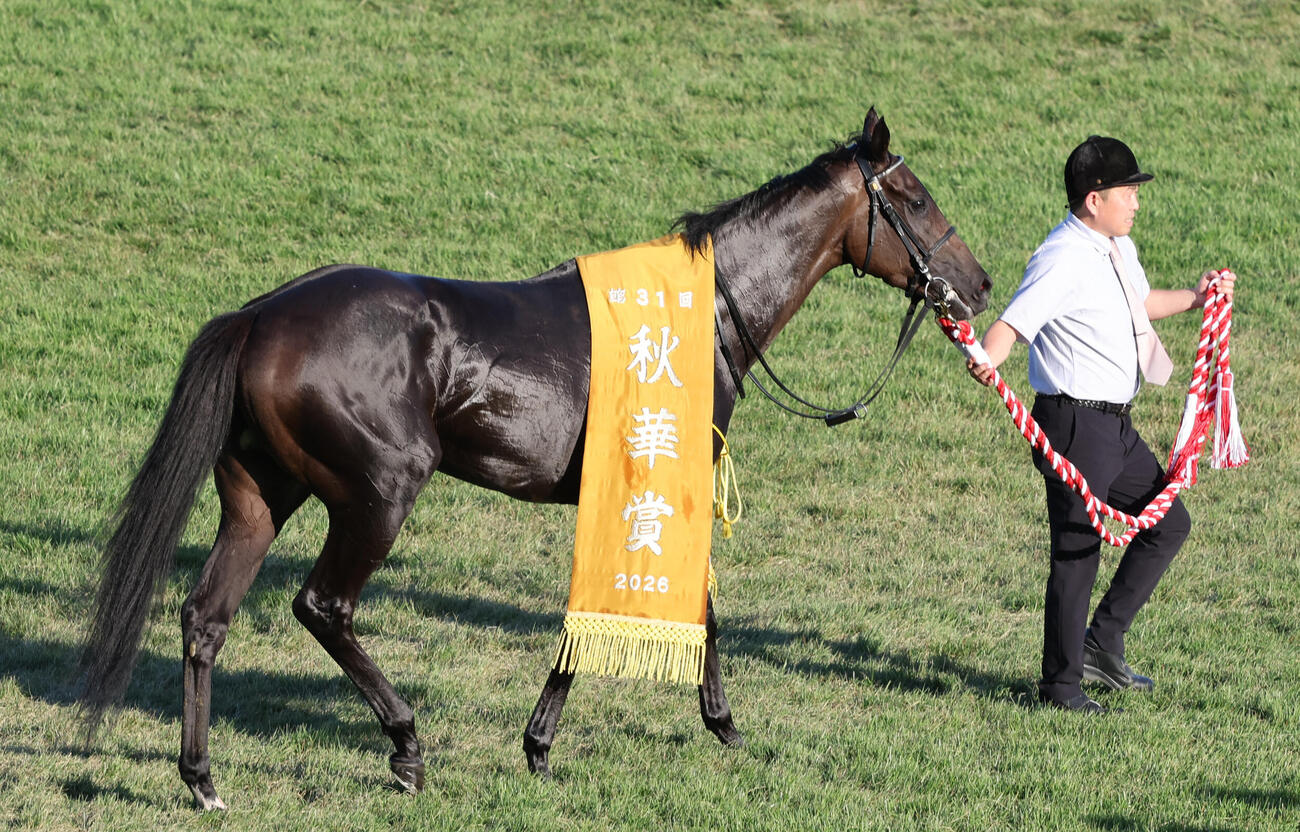 秋華賞を制したモンローウォークは優勝レイを掛けられて歩く（撮影・西尾就之）