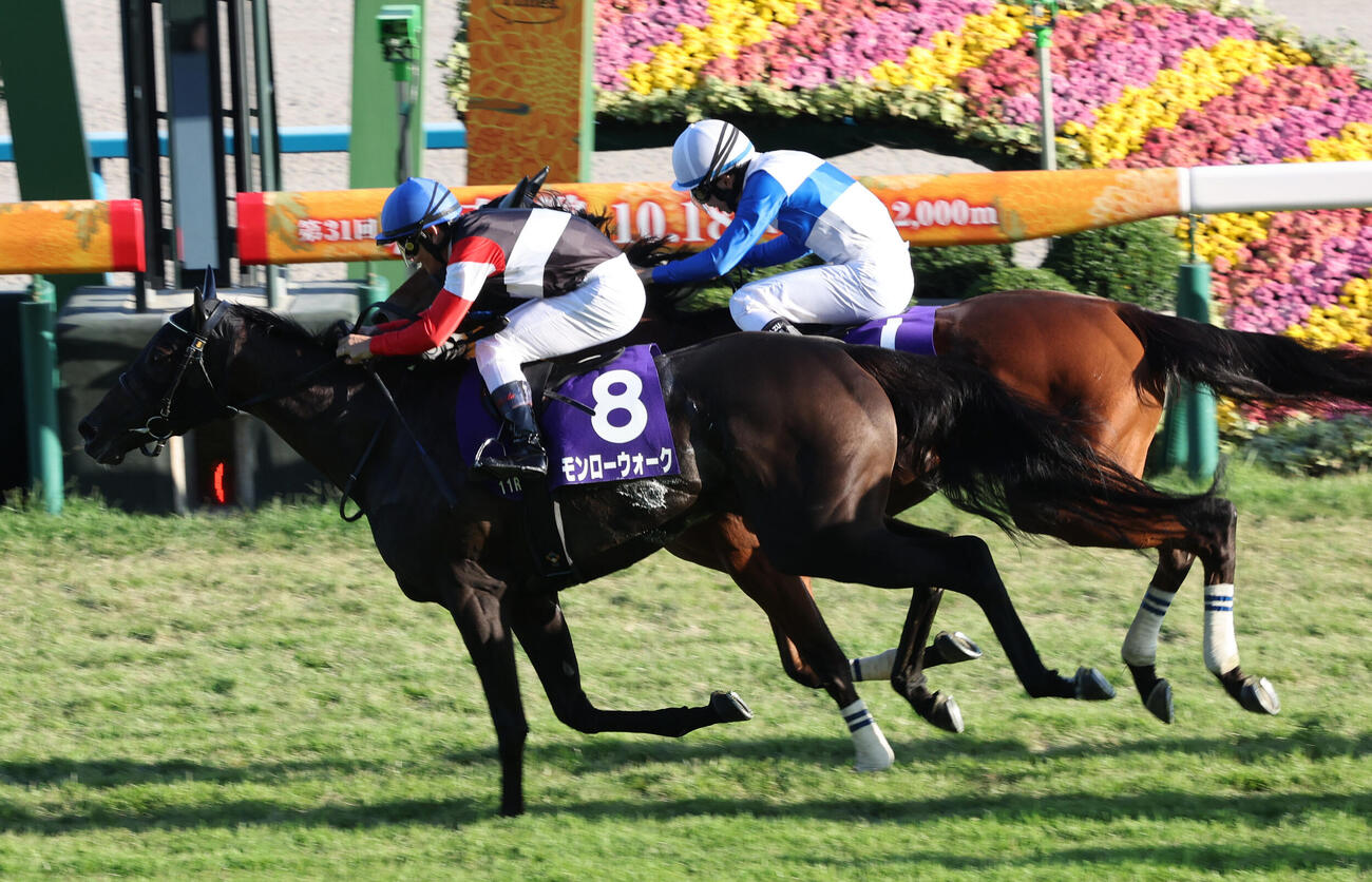 秋華賞で首差の2着に入ったギャラボーグ（奥）