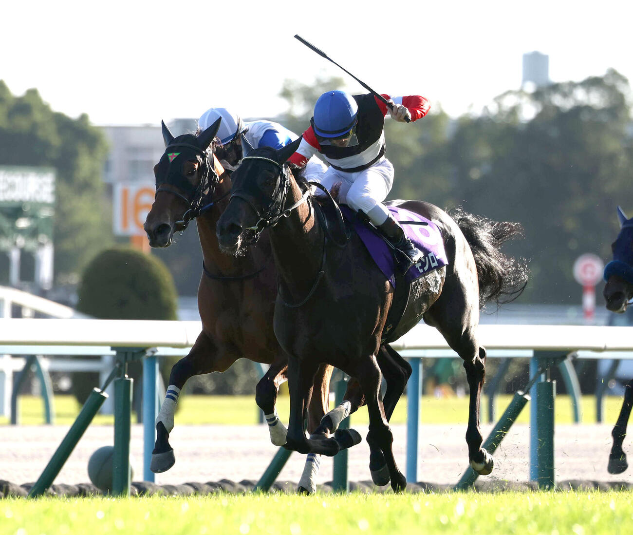 京都11R、ギャラボーグ（左）を競り落とし無傷の5連勝で秋華賞を制したモンローウォーク（撮影・白石智彦）