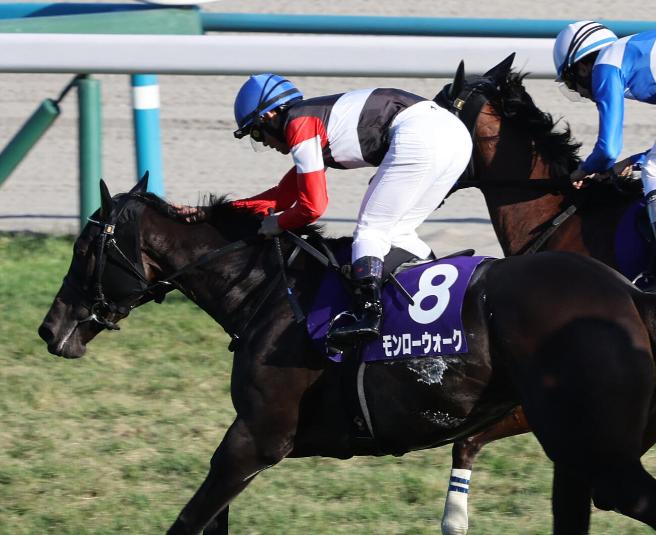 秋華賞を制し、モンローウォークをなでてねぎらう戸崎圭太騎手（撮影・西尾就之）