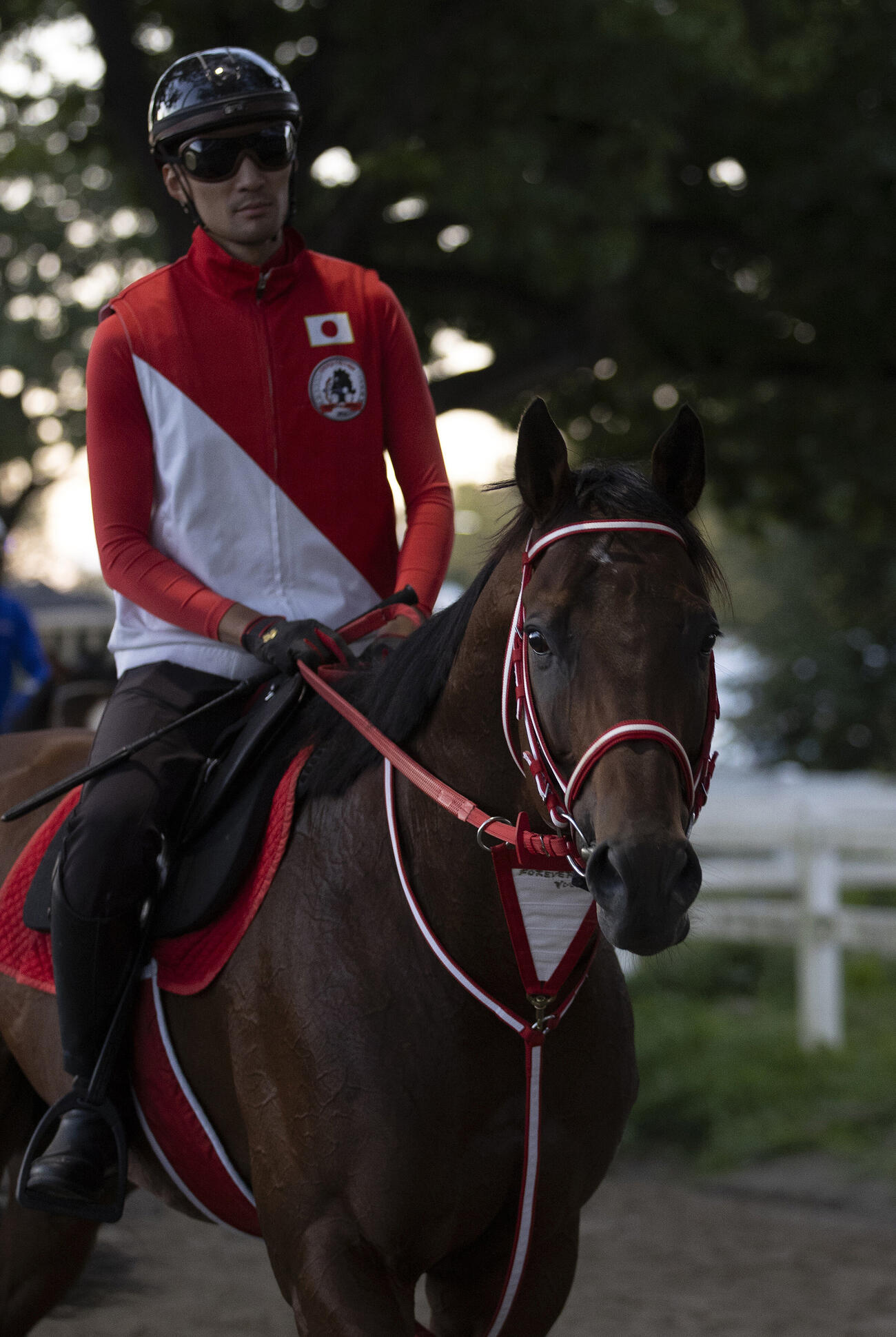 ベルモントパークで調整するフォーエバーヤング（C）Susie　Raisher／NYRA