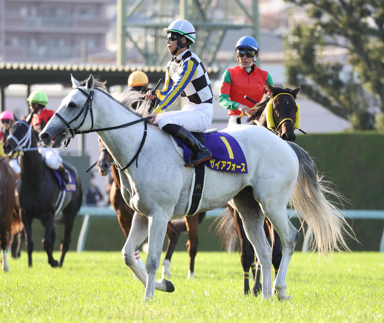 22年菊花賞8着に敗れたガイアフォースと松山騎手