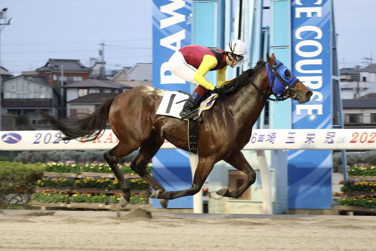 19日の浦和9Rをイーオレイが勝ち騎乗した船橋の仲野光馬騎手は地方競馬通算100勝を達成