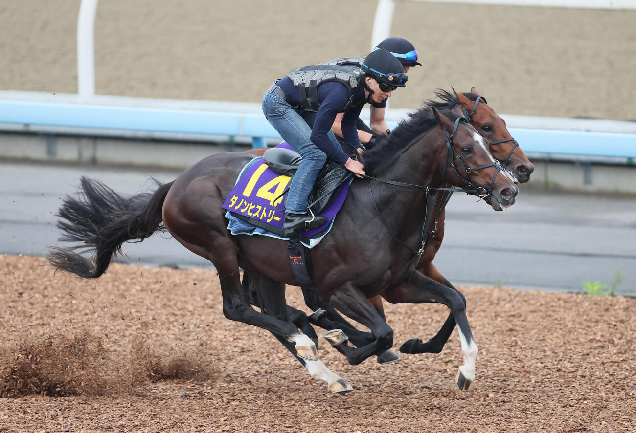 ダノンヒストリー（手前）は美浦ウッドでミッキーファルコンと併せて追い切られた（撮影・丹羽敏通）