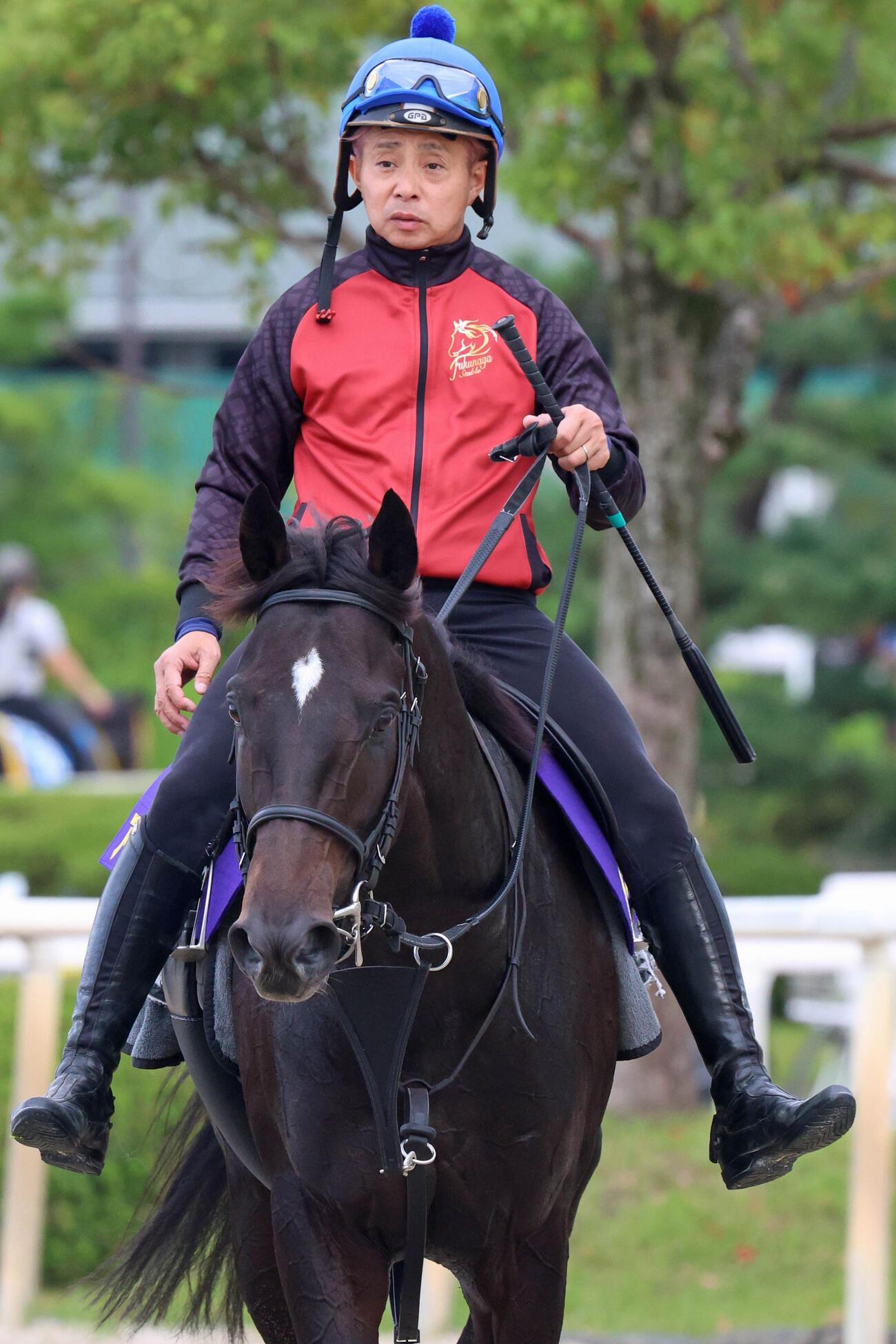 菊花賞　岩田康誠騎手を背に、追い切り後も落ち着き十分のアスクエジンバラ