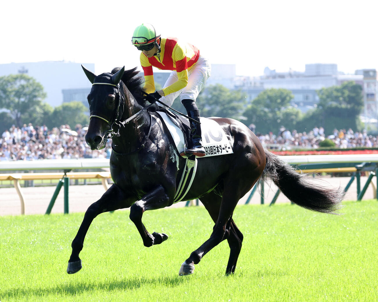 ジャスティンビスタ（2026年5月31日撮影）