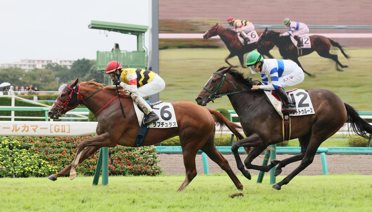2歳新馬戦を制したラプチュラスと津村明秀騎手（2026年9月20日撮影）
