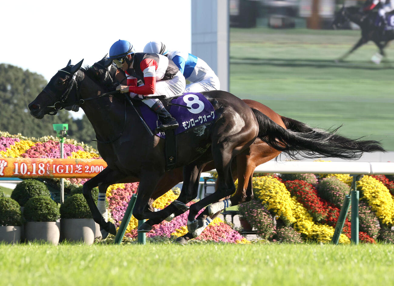 18日、無傷の5連勝で秋華賞を制したモンローウォーク（撮影・白石智彦）