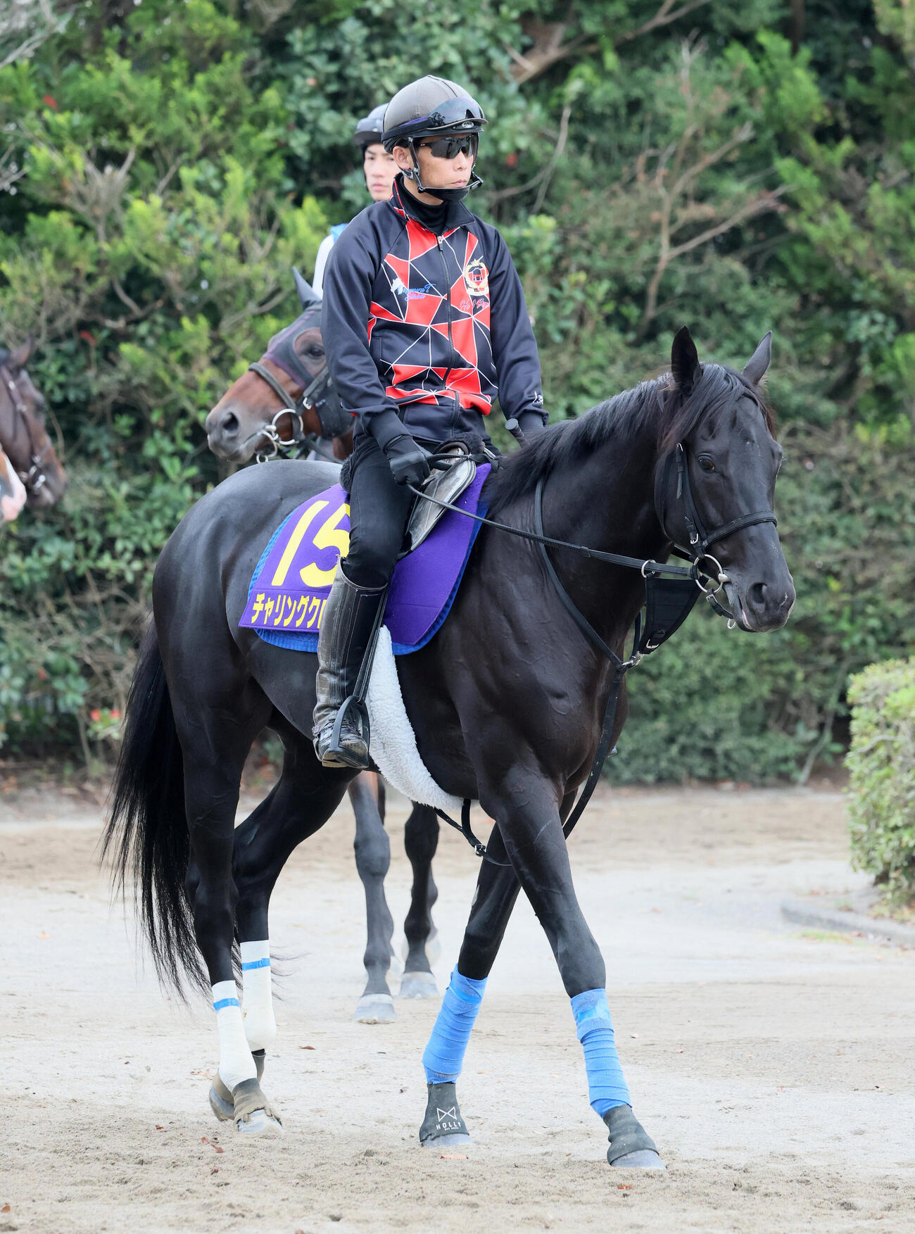 馬場へ向かうチャリングクロス（2026年10月21日撮影）