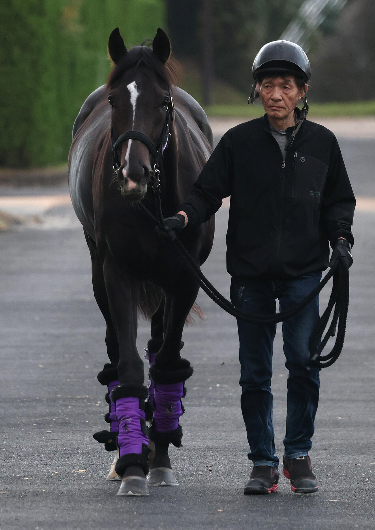 厩舎周りで運動するエムズビギン