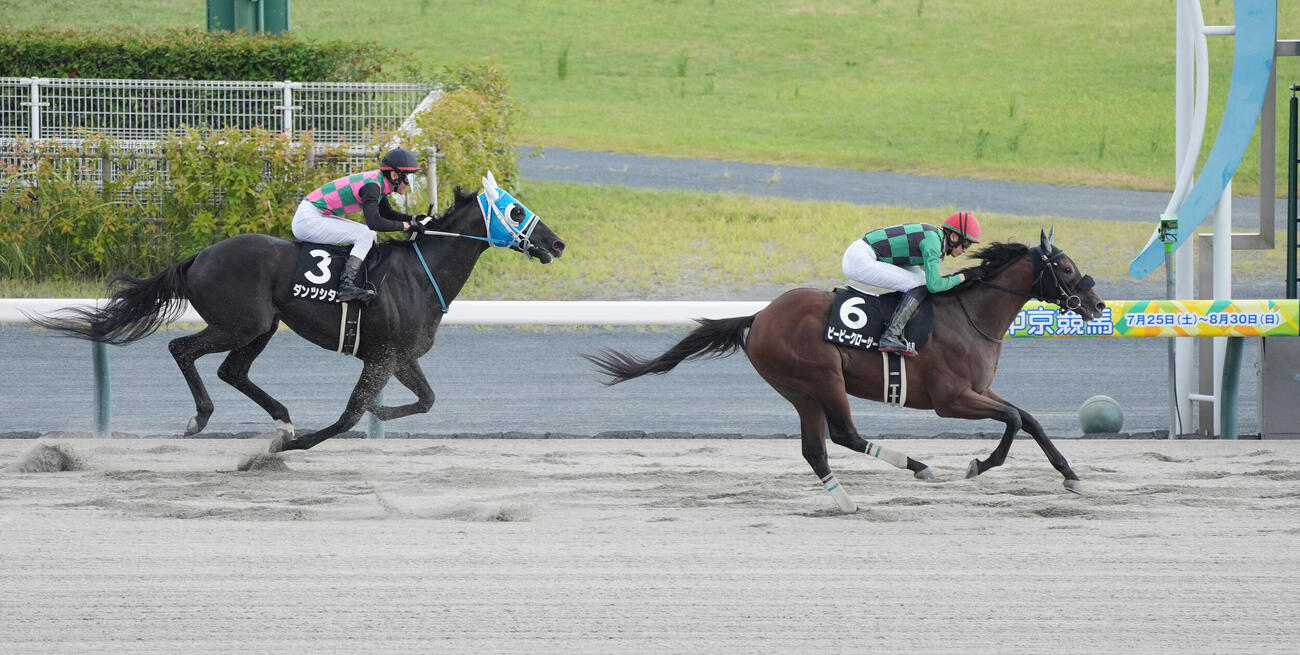 白川郷ステークス1着ビービークローサー（2026年8月30日撮影）