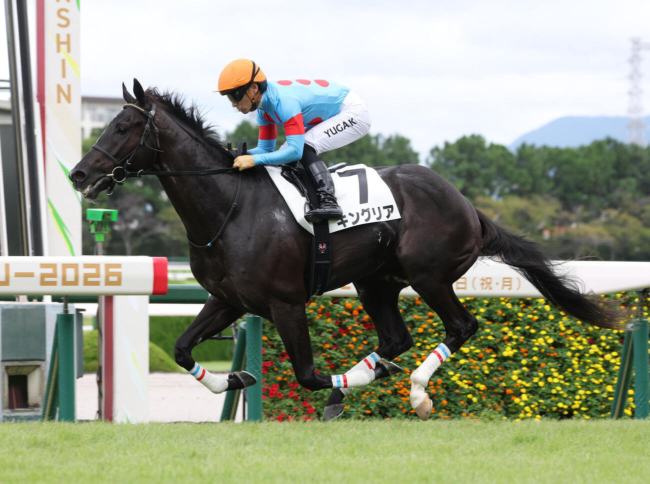 シホノノービレとの競り合いを制し新馬戦を勝利しキングリア（2026年9月21日撮影）