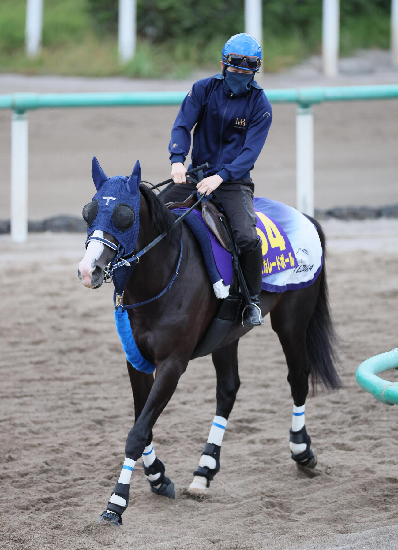 22日、角馬場で運動するマスカレードボール