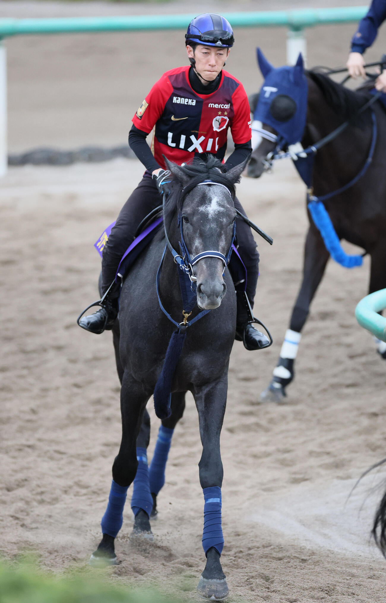 22日、角馬場で運動するリアライズシリウスと津村明秀騎手