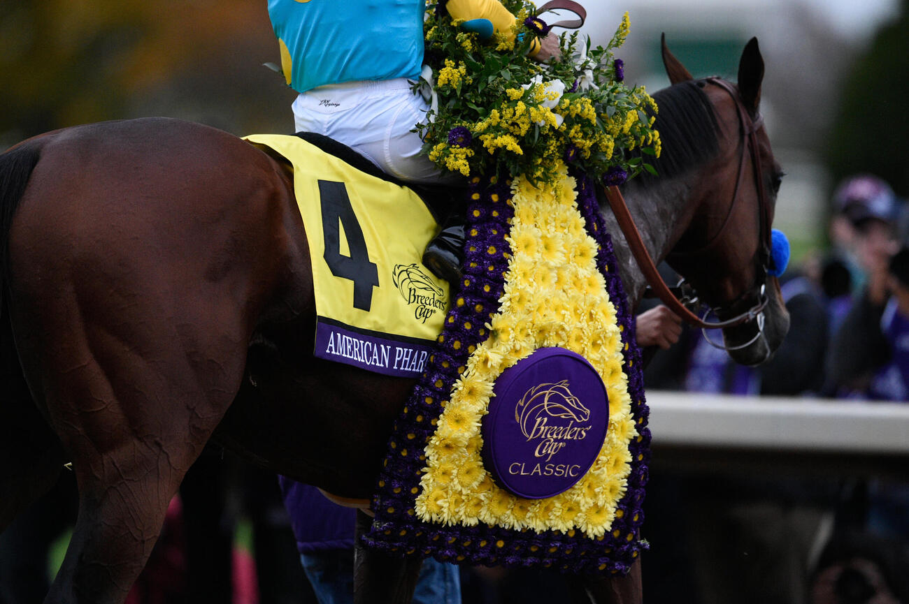 26年のブリーダーズカップ開催が行われるキーンランド競馬場（C）BreedersCup