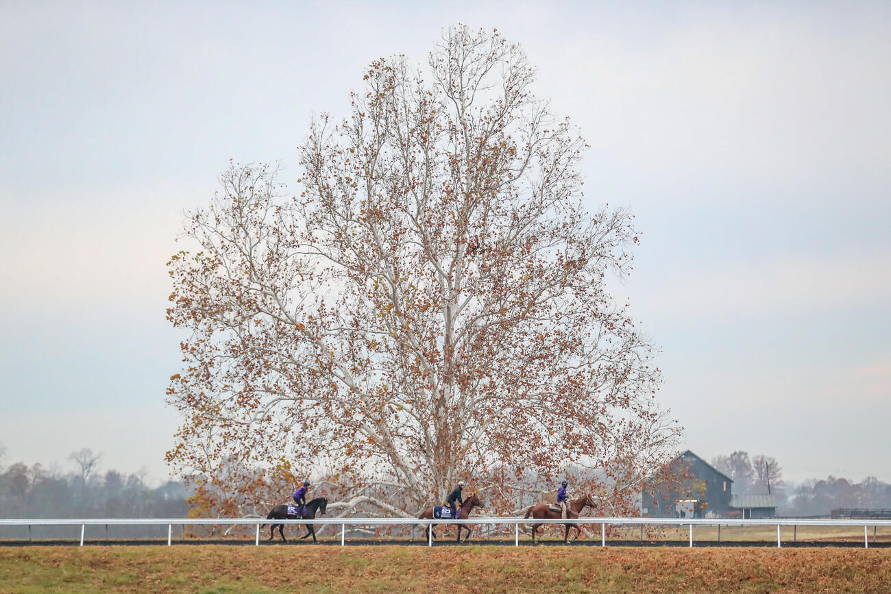 26年のブリーダーズカップ開催が行われるキーンランド競馬場（C）BreedersCup