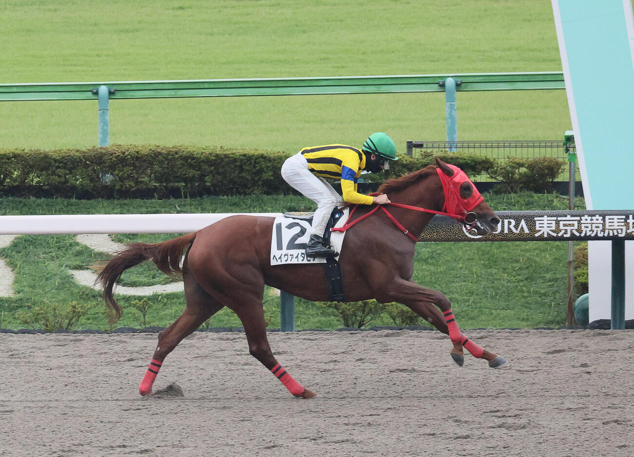 東京4R、2歳新馬戦を制したヘイヴァイタヒチと西村淳也騎手（撮影・丹羽敏通）