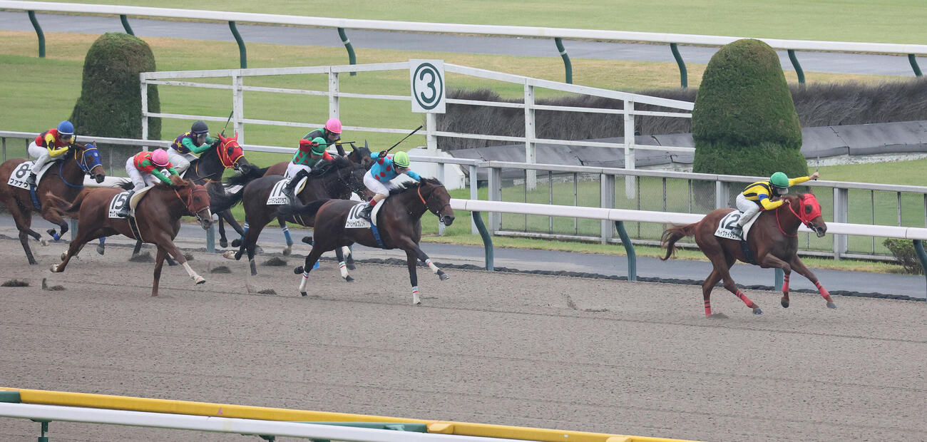 東京4R、2歳新馬戦を制したヘイヴァイタヒチと西村淳也騎手（撮影・丹羽敏通）