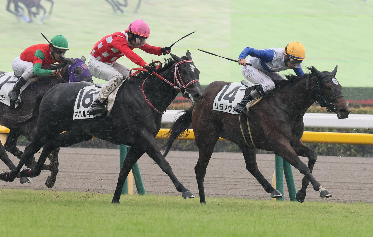 東京5R、2歳新馬戦を制したリラノヴァと横山和生騎手（奥）（撮影・丹羽敏通）
