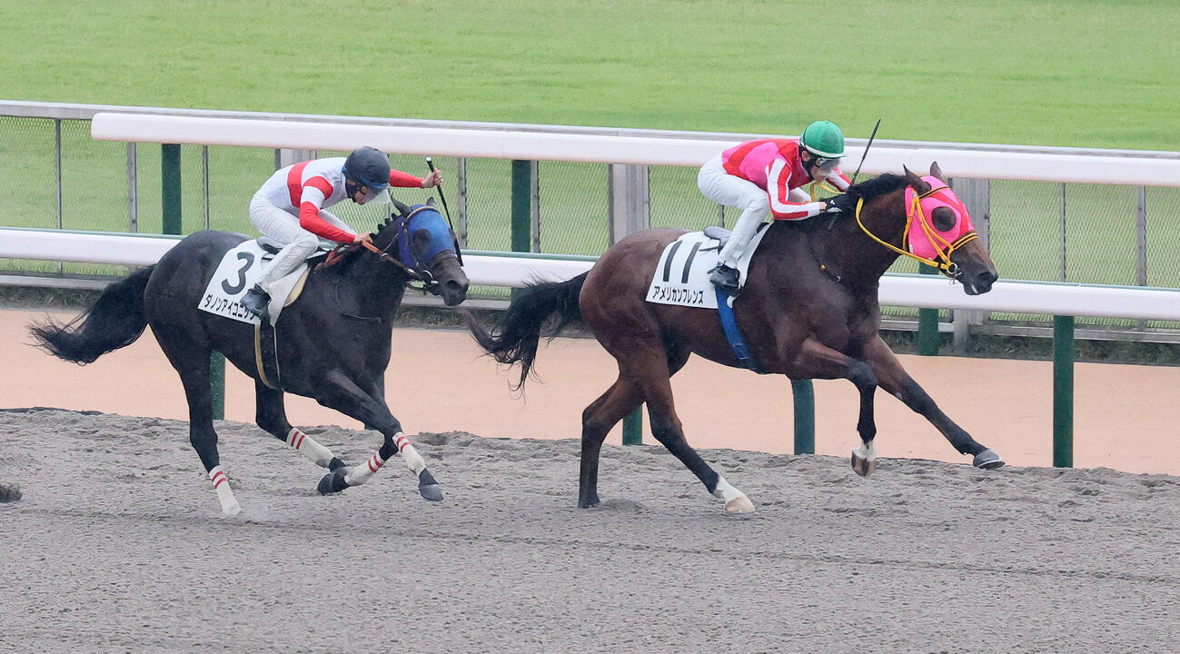東京6R、2歳新馬戦を制したアメリカンフレンズと津村明秀騎手（右）（撮影・丹羽敏通）