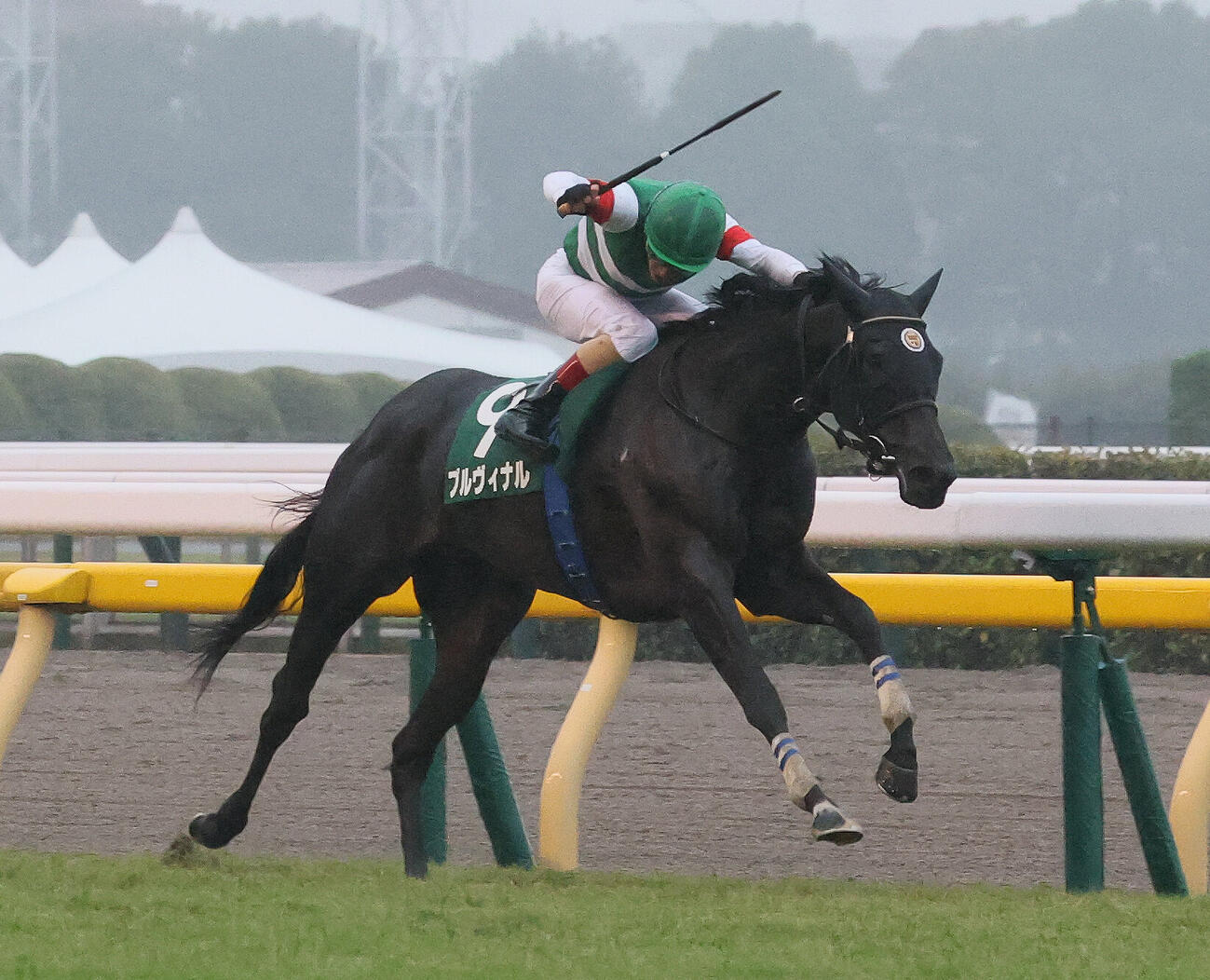 アルテミスSを快勝したプルヴィナルとC・ルメール騎手（撮影・丹羽敏通）
