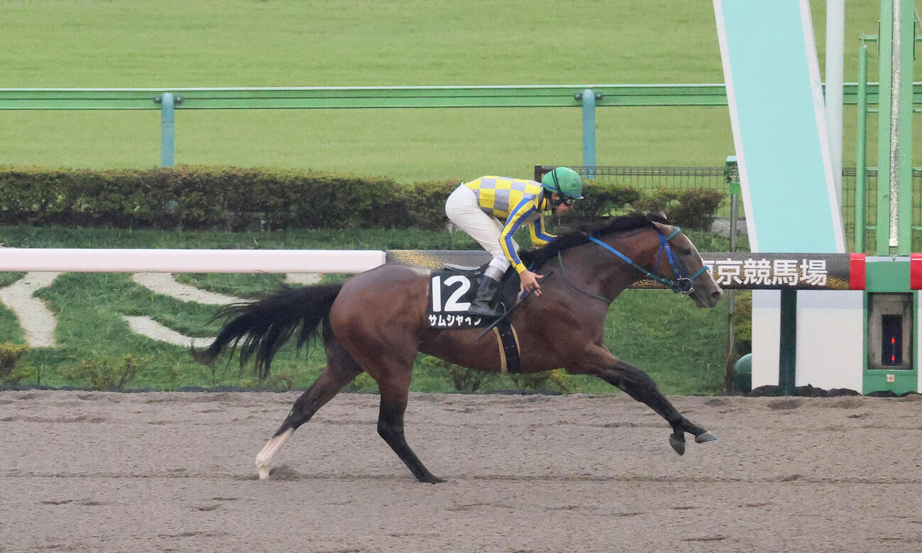 日本農業新聞杯を制したサムシャインと横山和生騎手（撮影・丹羽敏通）