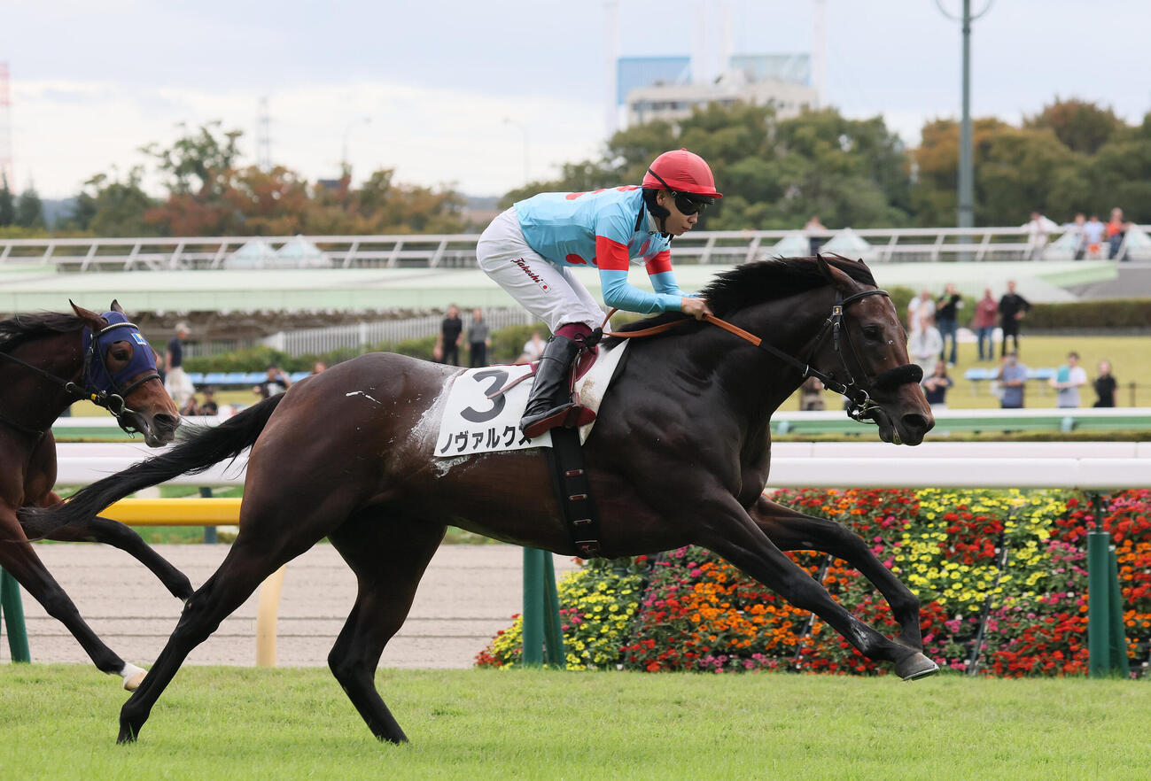 東京5R、大外から伸びて2歳新馬戦を制したノヴァルクスと横山武史騎手（撮影・丹羽敏通）