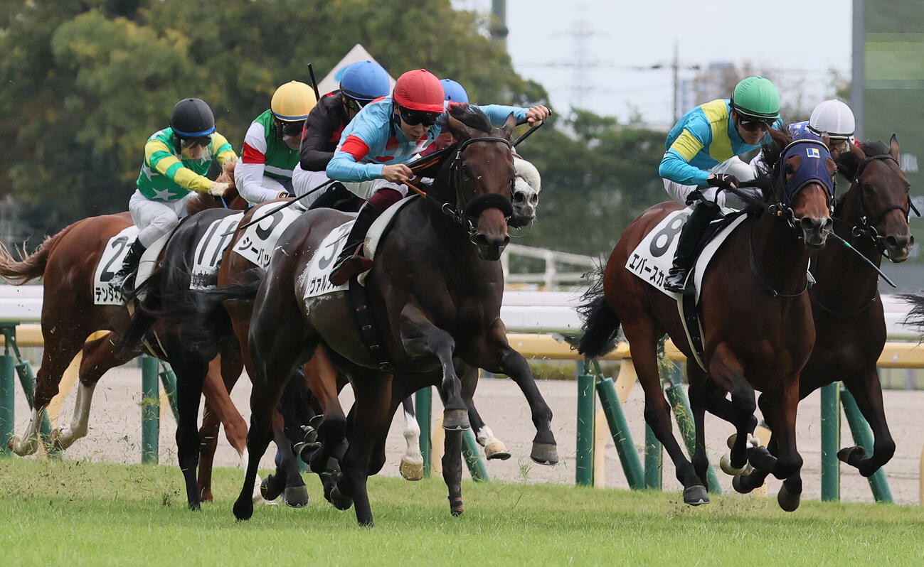 東京5R、大外から伸びて2歳新馬戦を制したノヴァルクスと横山武史騎手（右から3頭目）（撮影・丹羽敏通）