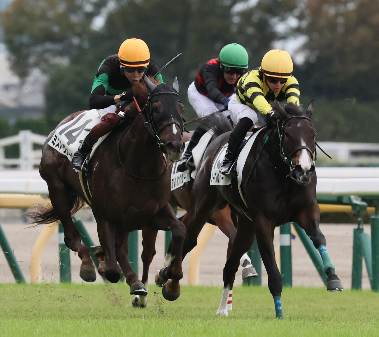 東京6R、2歳新馬戦を制したミストヴェールと三浦皇成騎手（左）（撮影・丹羽敏通）