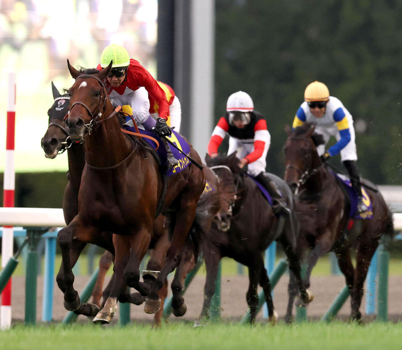 菊花賞で大逃げを打つも15着に終わったキンググローリー（右）（撮影・白石智彦）