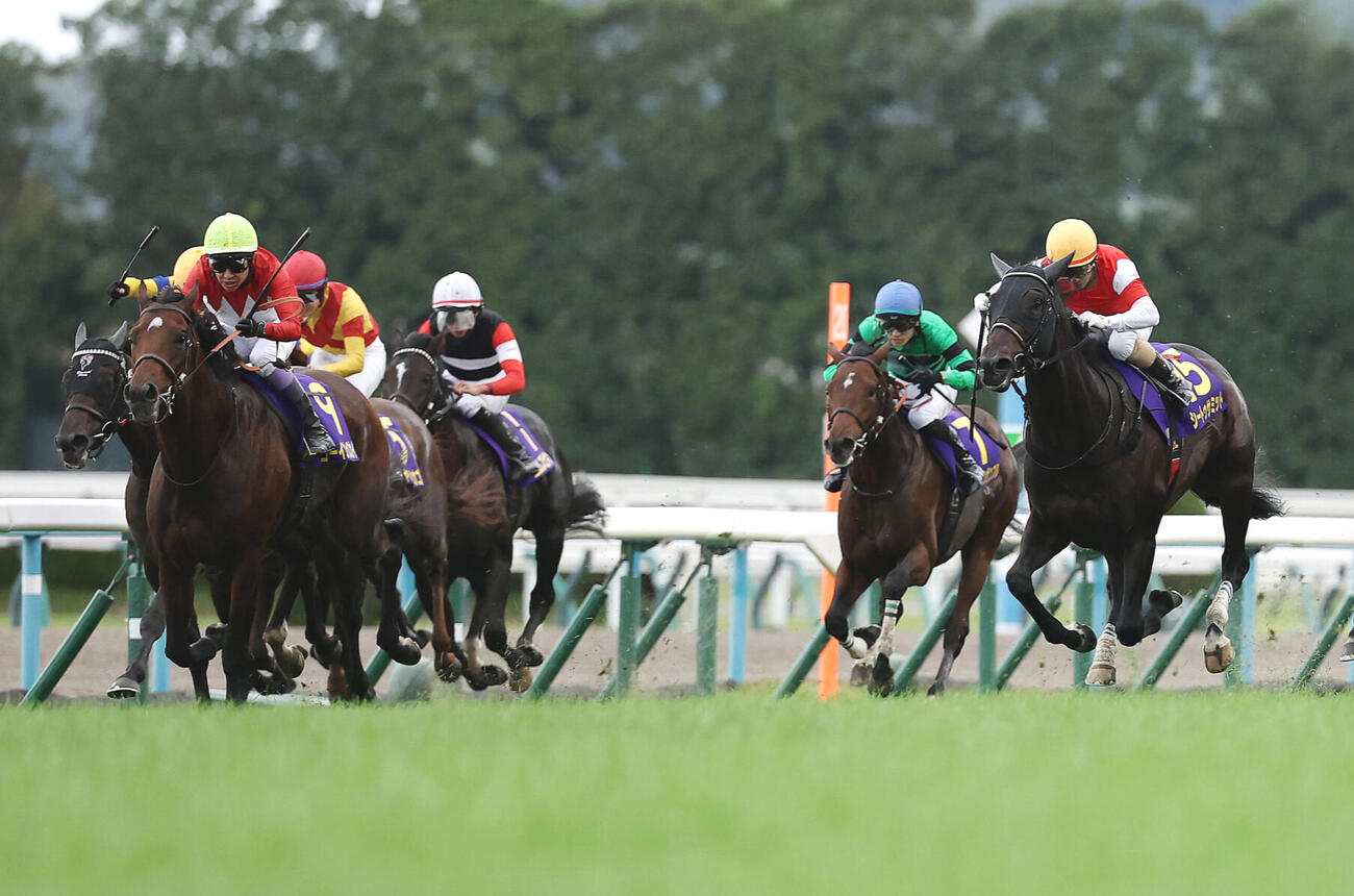 菊花賞5着に入ったシートゥサミット（右）（撮影・前田充）