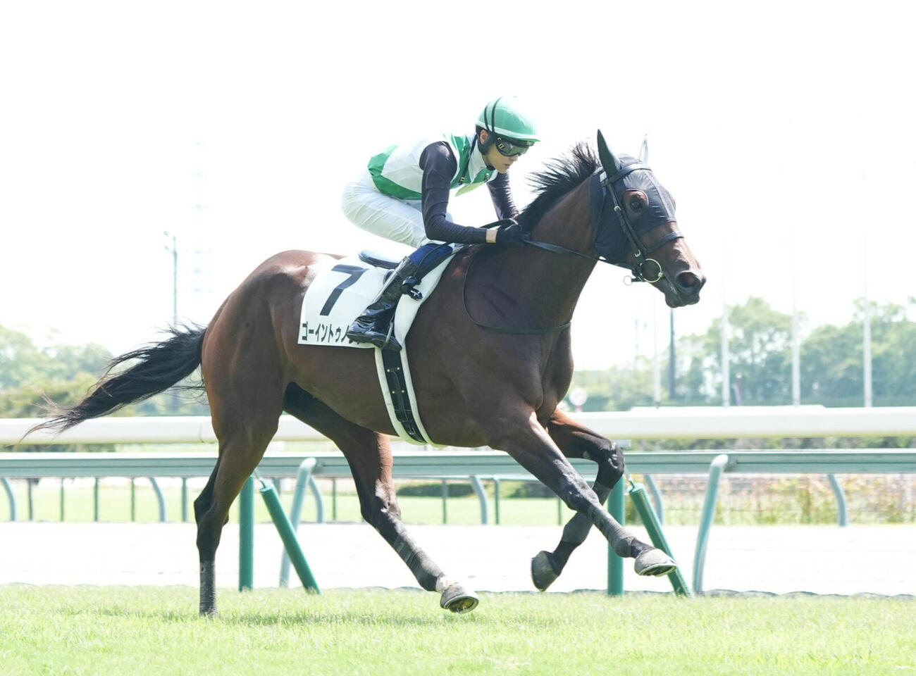 8月30日中京3R新馬戦を快勝したゴーイントゥノヴァ
