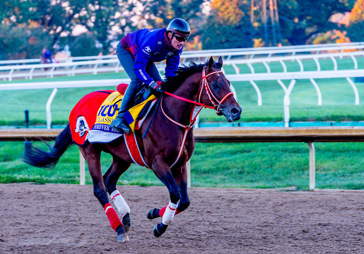 キーンランド競馬場で調整するフォーエバーヤング（C）Scott　Serio／Eclipse　Sportswire