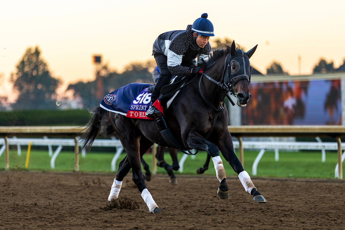 キーンランド競馬場で調整するテーオーエルビス（C）2026 Casey Laughter